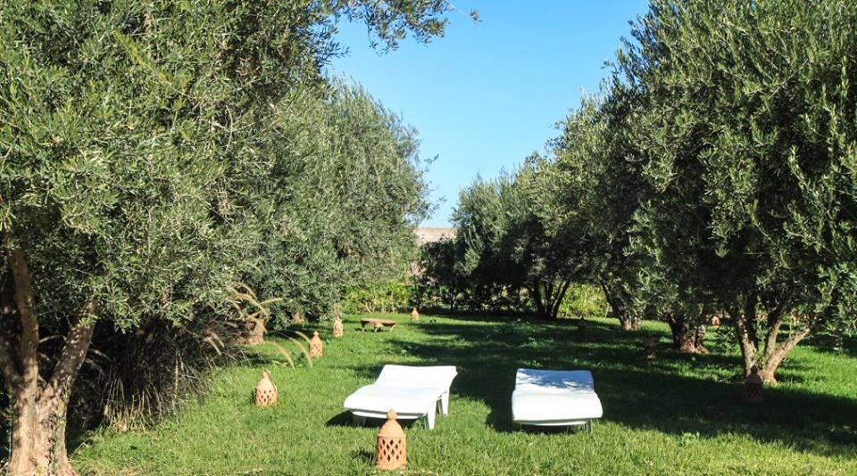 Riad Sidi Hicham Ouled Bouzid 외부 사진