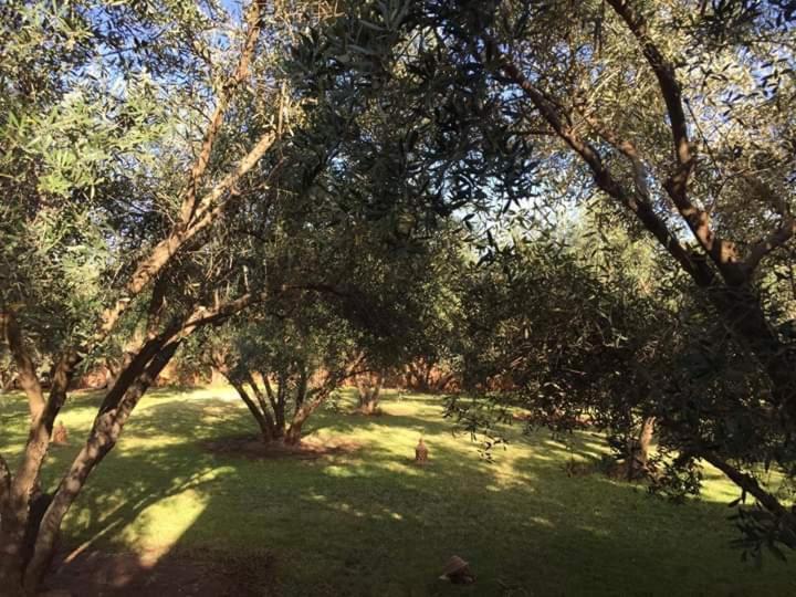 Riad Sidi Hicham Ouled Bouzid 외부 사진